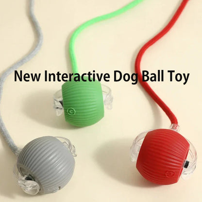 Rechargeable Interactive Rolling Ball Toy for Dogs & Cats — Automatic Smart Obstacle-Avoiding Pet Play Ball