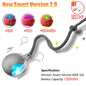 Interactive Automatic Rolling Ball Toy for Cats and Dogs, Rechargeable Smart Pet Toy with Faux Tail