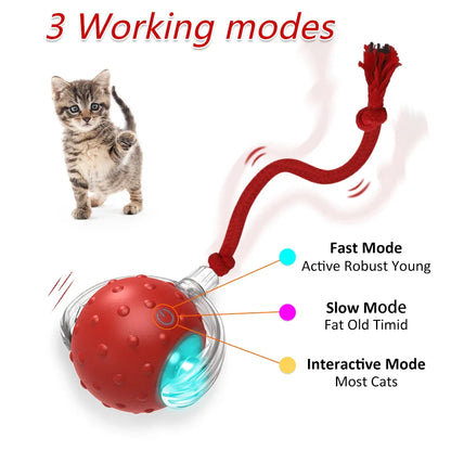 Motion-Activated Interactive Cat Toy Ball with Chirping Bird Sound & LED Rolling Teaser for Kittens