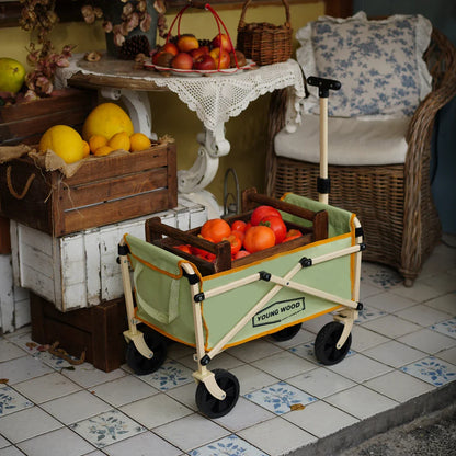 Mini Green Camping Cart – Compact Portable Multifunctional Trolley, Lightweight & Sturdy