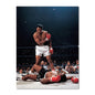 World Boxing Champion Ali Classic Scene Wall Art Poster Boxer Tyson Mural Modern Home Decor Perfect for Living Room Decor