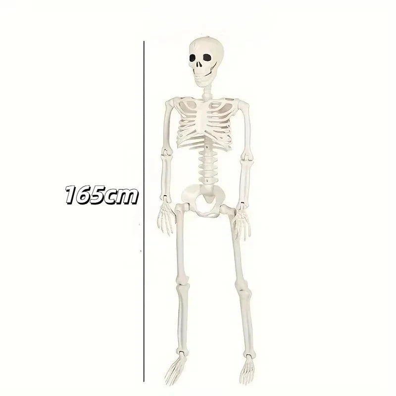 Halloween Skeleton Decoration - Movable 90 or 165 cm Prop
