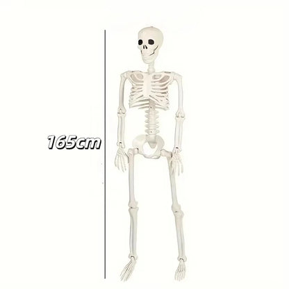 Halloween Skeleton Decoration - Movable 90 or 165 cm Prop