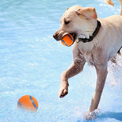 Chew-Proof Rubber Dog Ball - Elastic Jumping Fetch Toy for Small, Medium & Large Dogs