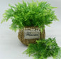 Artificial Plant Small Boston Fern Green Grass Home Decoration Fake Plant Leaves Greenery Home Garden Party Wedding Decorations