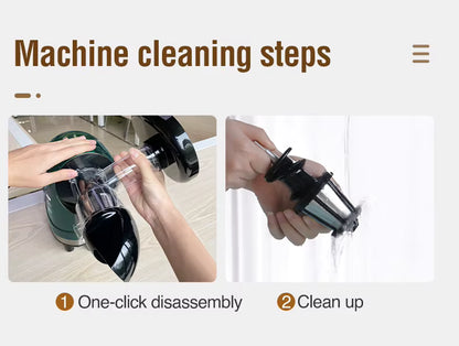 LUFVEBUT BP-8038 Slow Masticating Juicer, 200 W