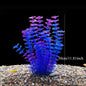 Artificial Aquarium Plants — Plastic Underwater Decorations for Fish Tanks, Realistic Aquarium Decor