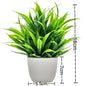 Artificial Plants with Plastic Pots for Home Decor