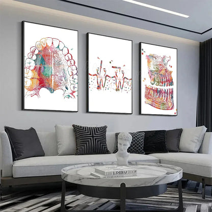 Anatomy Human Teeth Art Posters Teeth Row Teeth Illustra Poster HD Posters Home Room Bar Cafe Decor Art Wall Painting Picture
