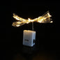 Button Battery LED Fairy String Lights - 1m (3.3 ft) 10 LED & 2m (6.6 ft) 20 LED, Warm White/White/Blue/Pink/Multicolor, Indoor Outdoor
