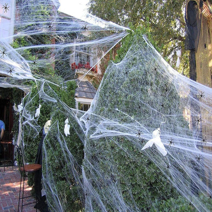 Halloween Spider Web Cobweb Decoration with Two Spider Props