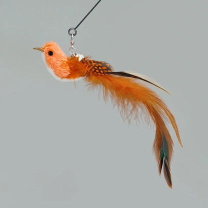 Interactive Feather Cat Toy – Feather Teaser for Cat Play & Exercise