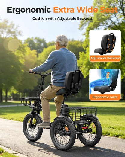 EILLEO SPACEWALK Folding Electric Trike, 48V 15Ah