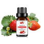 10 ml (0.34 fl oz) Mango & Pineapple Fragrance Oil for Diffuser, DIY Soap and Candle Making - Natural Plant-Based Blend