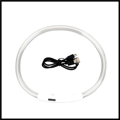 LED Pet Dog Collar for Night Safety | Bright USB Rechargeable