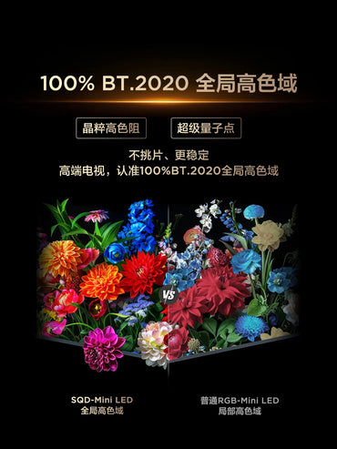 Wall-mounted TV 75T7M Pro 75-inch - Mini LED 100% Global High Color Gamut