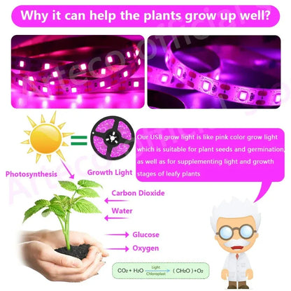 LED Grow Light Full Spectrum 5V USB Grow Light Strip 1m-5m 2835 Chip LED Phyto Lamp for Plants Flowers Greenhouse Hydroponic