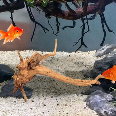Large Natural Driftwood Aquarium Decor Tree Stump for Fish Tank, Plant & Terrarium Landscaping