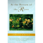 At the Bottom of the River - Paperback