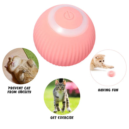 Automatic Rolling Cat Ball Toy – USB Rechargeable Interactive Self-Moving Kitten Toy for Indoor Play