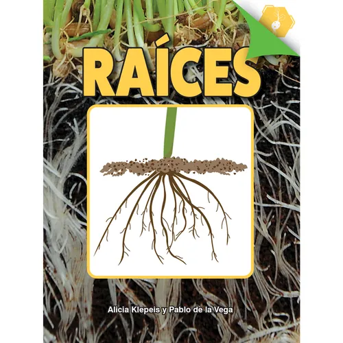 Raíces: Roots - Hardcover