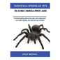 Tarantula Spiders As Pets: Tarantula breeding, where to buy, types, care, temperament, cost, health, handling, diet, and much more included! The Ultim - Paperback