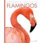 Flamingos - Library Binding