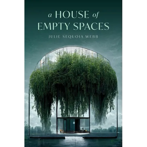A House of Empty Spaces - Paperback