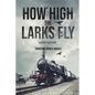 How High the Larks Fly: The harrowing but true story of a young girl fighting to survive when her world is destroyed by war (Latest Edition) - Paperback