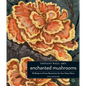 Instant Wall Art Enchanted Mushrooms: 45 Ready-To-Frame Illustrations for Your Home Décor - Paperback
