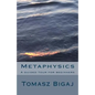 Metaphysics: A guided tour for beginners - Paperback