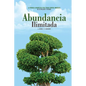 Abundancia ILIMITADA: Los Habitos Clave para SER EXITOSO, SALUDABLE y SIEMPRE: lejos de los Problemas Economicos. El Libro de Exito para tom - Paperback