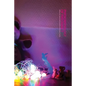Phenomenology of Pregnancy - Paperback