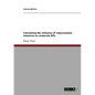 Calculating the influence of improvement measures on corporate KPIs - Paperback