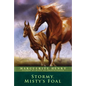 Stormy, Misty's Foal - Paperback