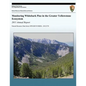 Monitoring Whitebark Pine in the Greater Yellowstone Ecosystem: 2011 Annual Report - Paperback