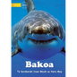 Sharks - Bakoa (Te Kiribati) - Paperback