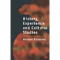 History, Experience and Cultural Studies - Paperback