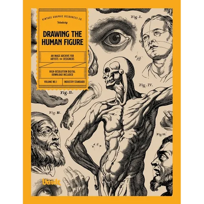 Drawing the Human Figure - Paperback