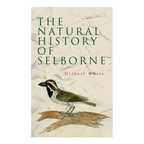 The Natural History of Selborne - Paperback