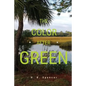 The Color After Green - Paperback