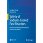 Safety of Sodium-Cooled Fast Reactors: Particle-Bed-Related Phenomena in Severe Accidents - Paperback