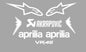 Motorcycle Helmet Decal