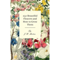 250 Beautiful Flowers and How to Grow Them - Paperback
