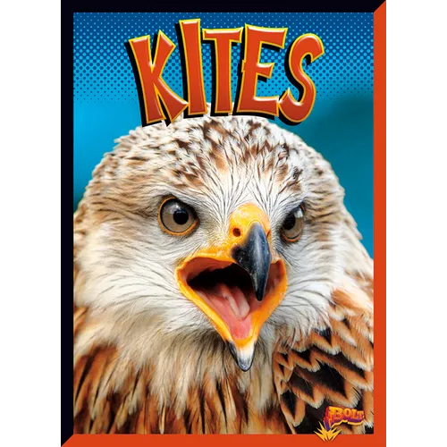 Kites - Paperback