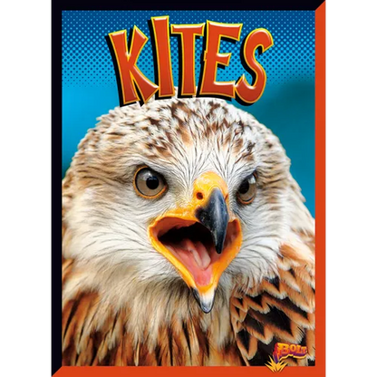 Kites - Paperback
