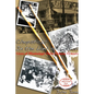 Chopsticks in The Land of Cotton: Lives of Mississippi Delta Chinese Grocers - Paperback