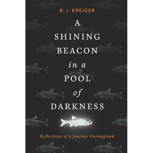 A Shining Beacon in a Pool of Darkness: Reflections of a Journey Unimagined - Paperback