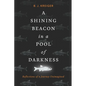 A Shining Beacon in a Pool of Darkness: Reflections of a Journey Unimagined - Paperback