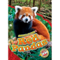 Red Pandas - Library Binding